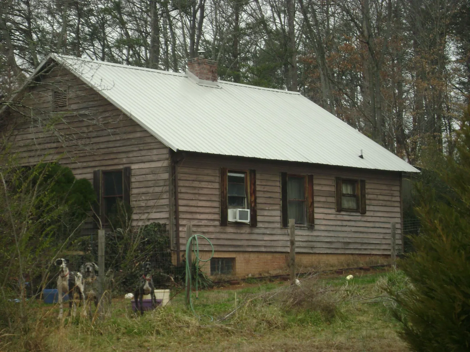 White metal roof on an old wood sided farmhouse, from a Asphalt Shingle Roof Repair job in Griffithsville